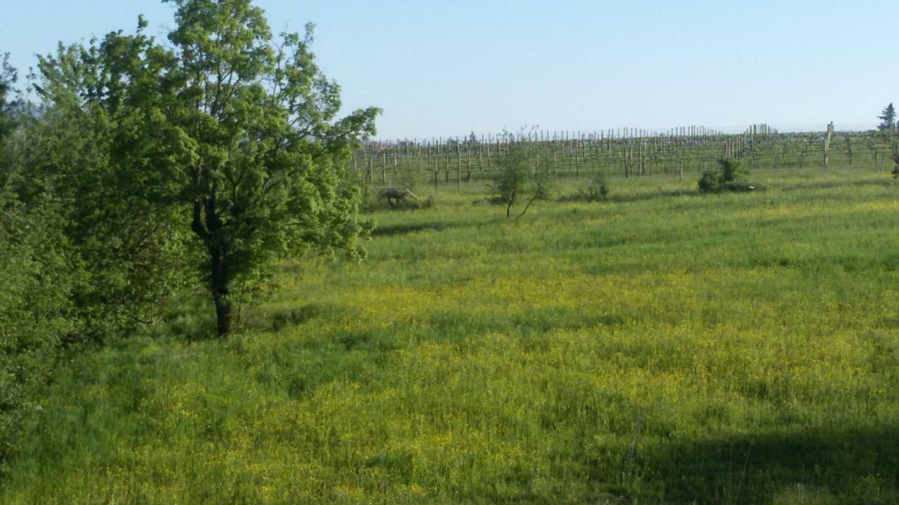 Casa Nel Bosco Bed and Breakfast Ρέτζιο Εμίλια Εξωτερικό φωτογραφία